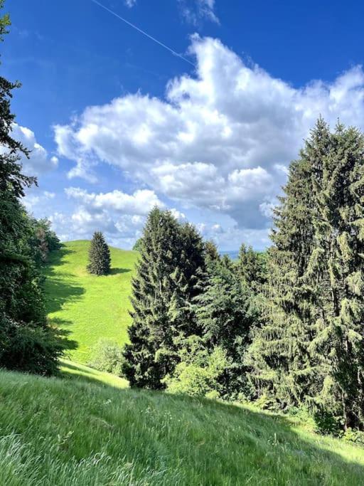 Ferienwohnung Am Hang Mit Malerischer Aussicht Osterode am Harz Екстериор снимка