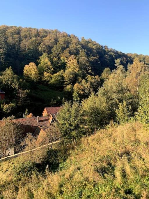Ferienwohnung Am Hang Mit Malerischer Aussicht Osterode am Harz Екстериор снимка